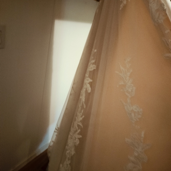 Elegant Lace Wedding Dress - Picture 4 of 9